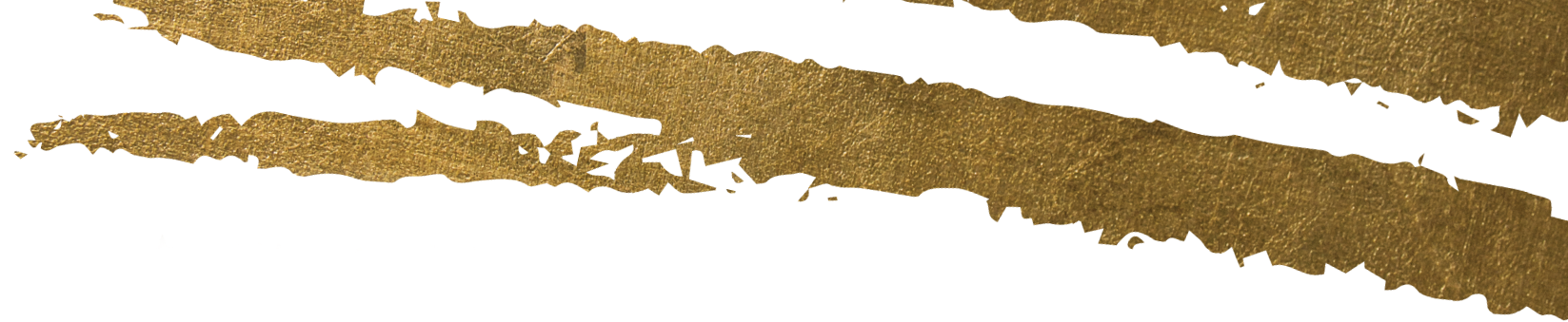 gold stroke boutique 2x