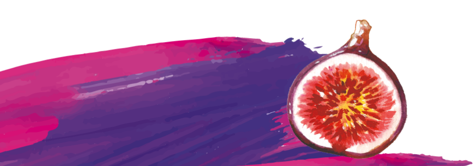 illustration_footer_1x3